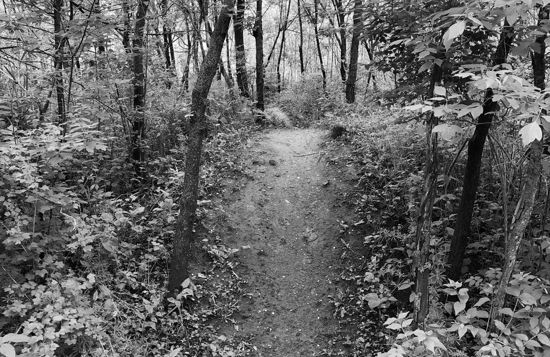 Best Hiking Trails in Waterloo IA