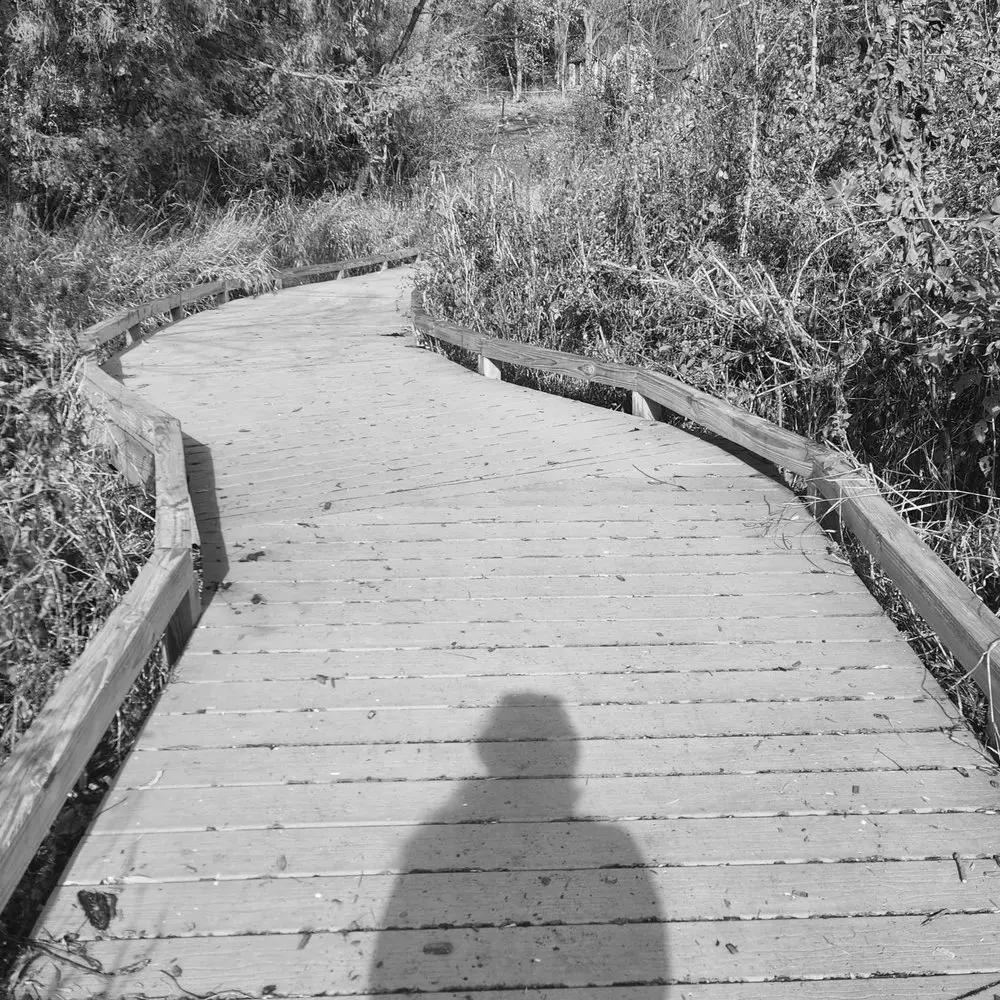 Best Hiking Trails in Waukesha WI