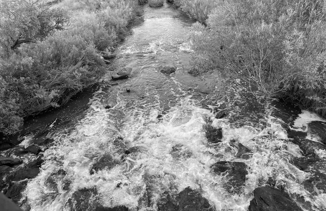 Best Hiking Trails in Westminster CO