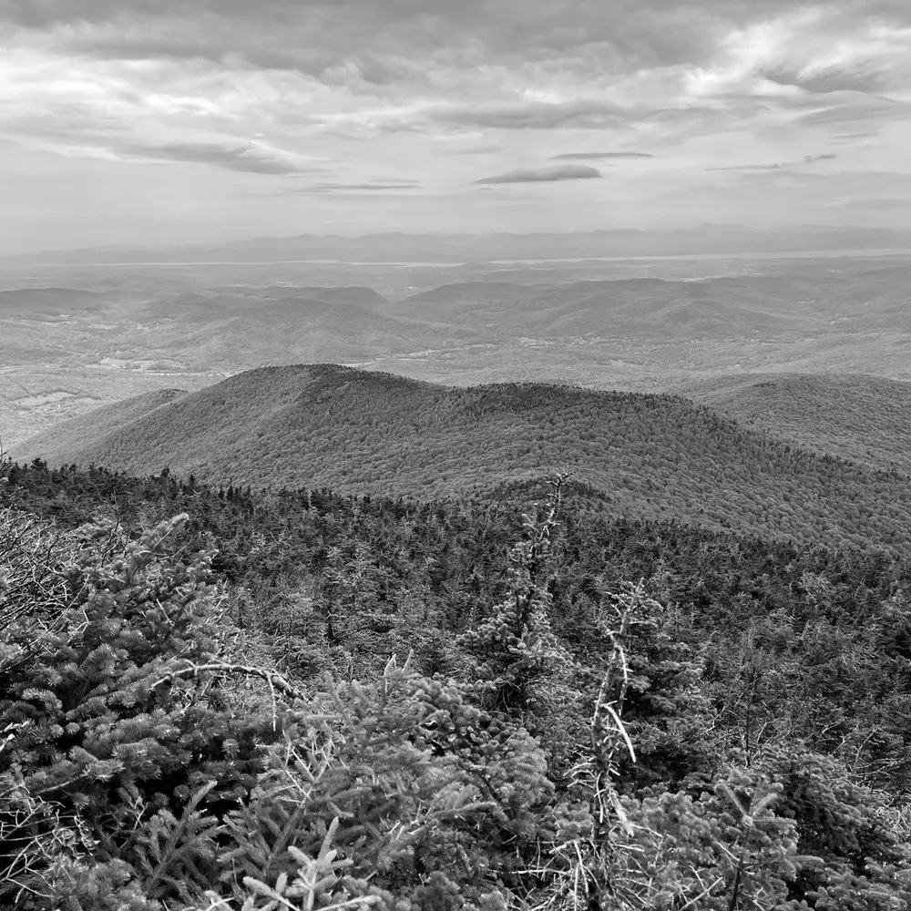 Best Hiking Trails in Williston VT