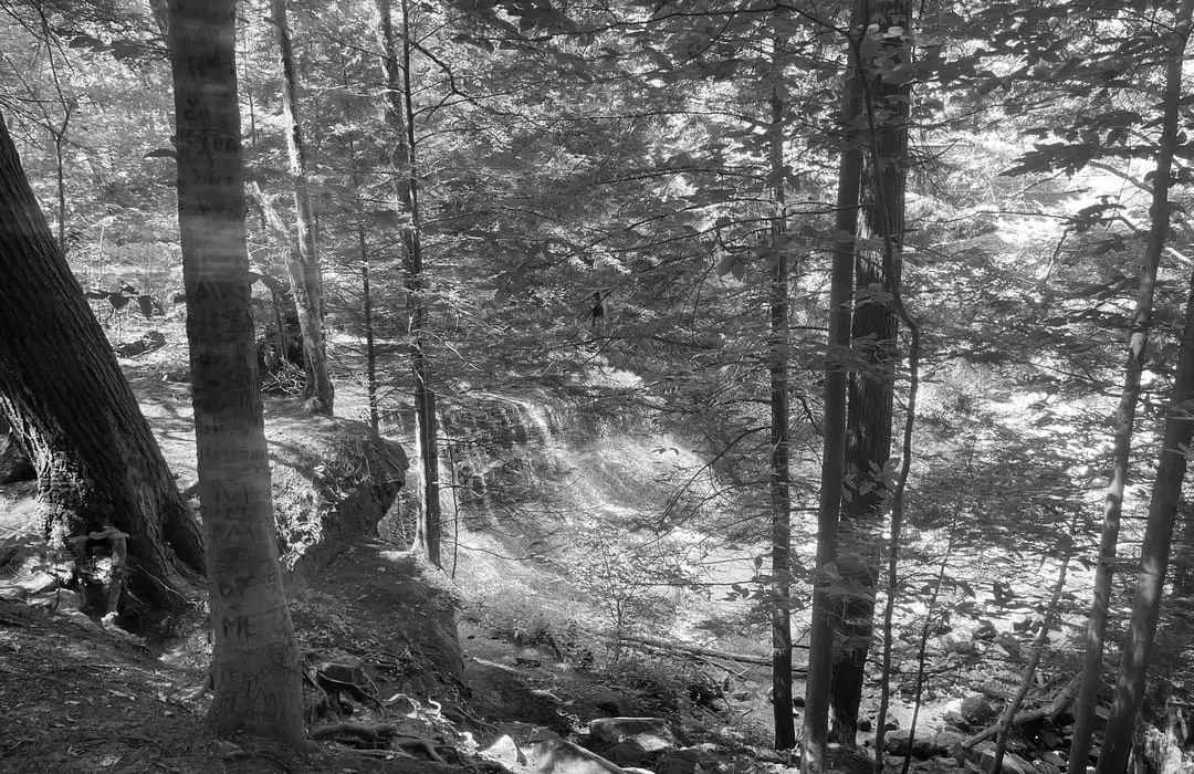 Best Hiking Trails in Wilmington PA