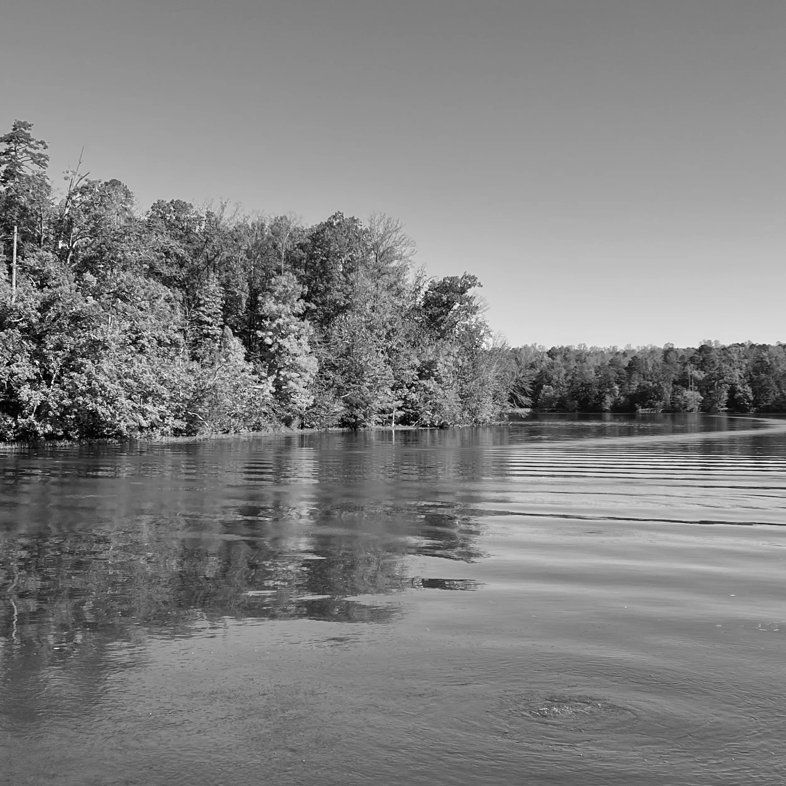 Best Hiking Trails in Winston Salem NC
