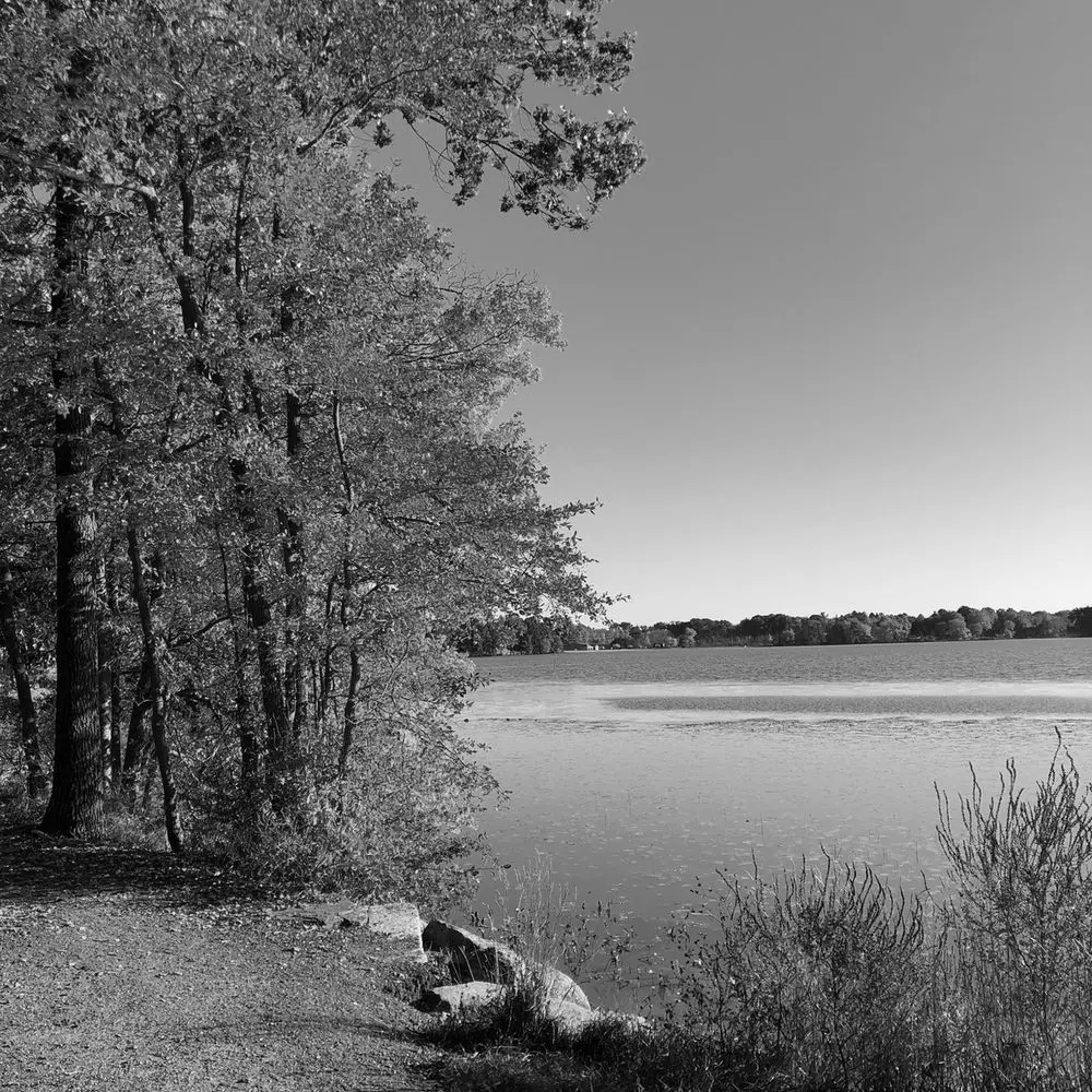 Best Hiking Trails in Worcester MA