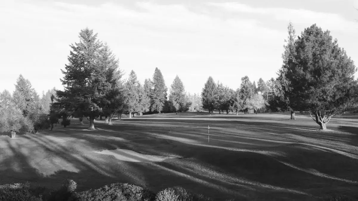 Best Hillsboro OR Golf Courses