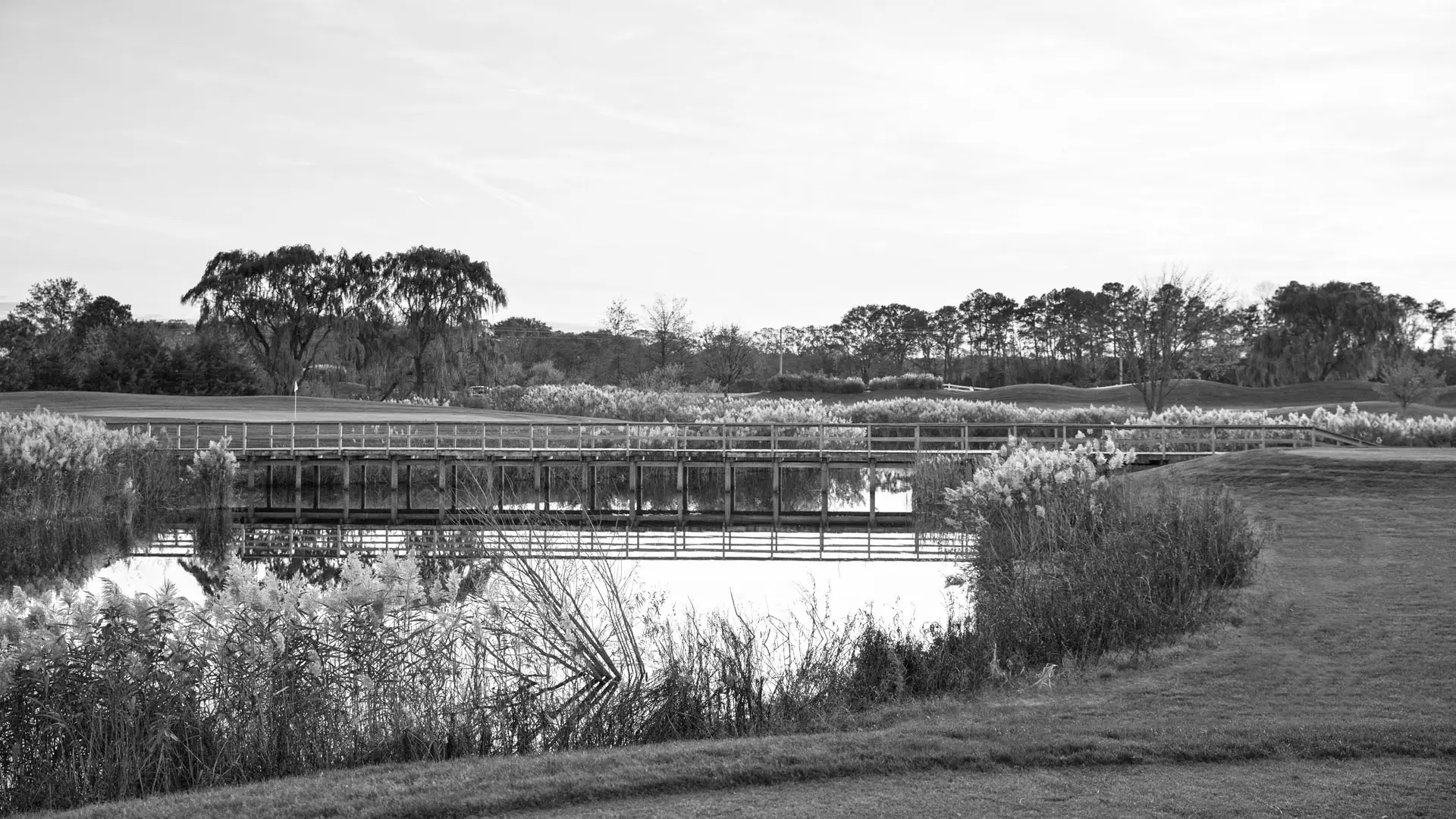 Best Lewes DE Golf Courses