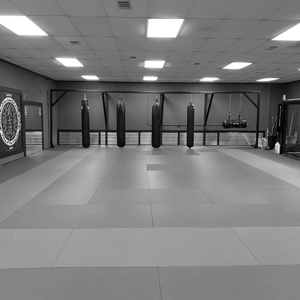 Best MMA Gyms in Arlington TX