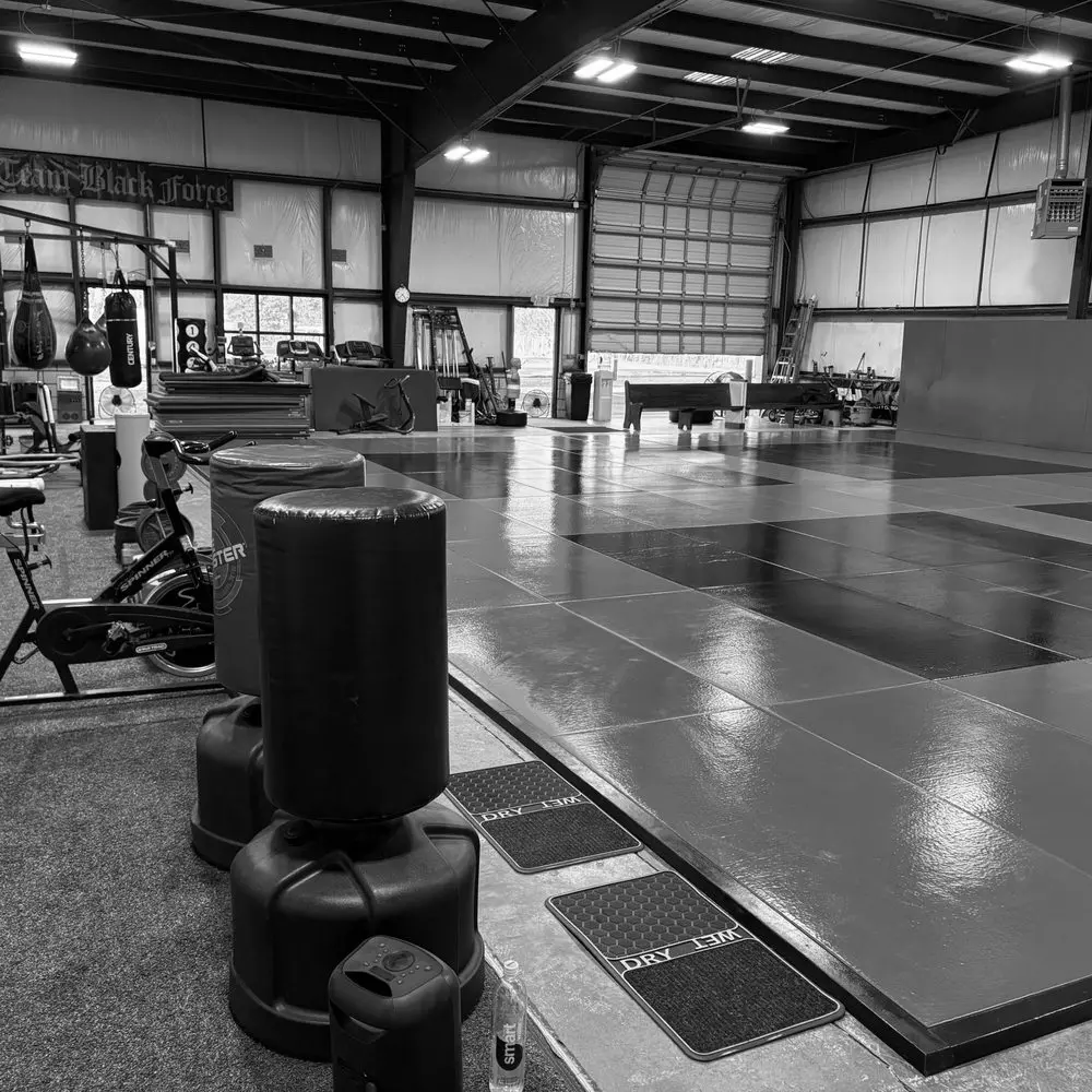 Best MMA Gyms in Asan South Korea