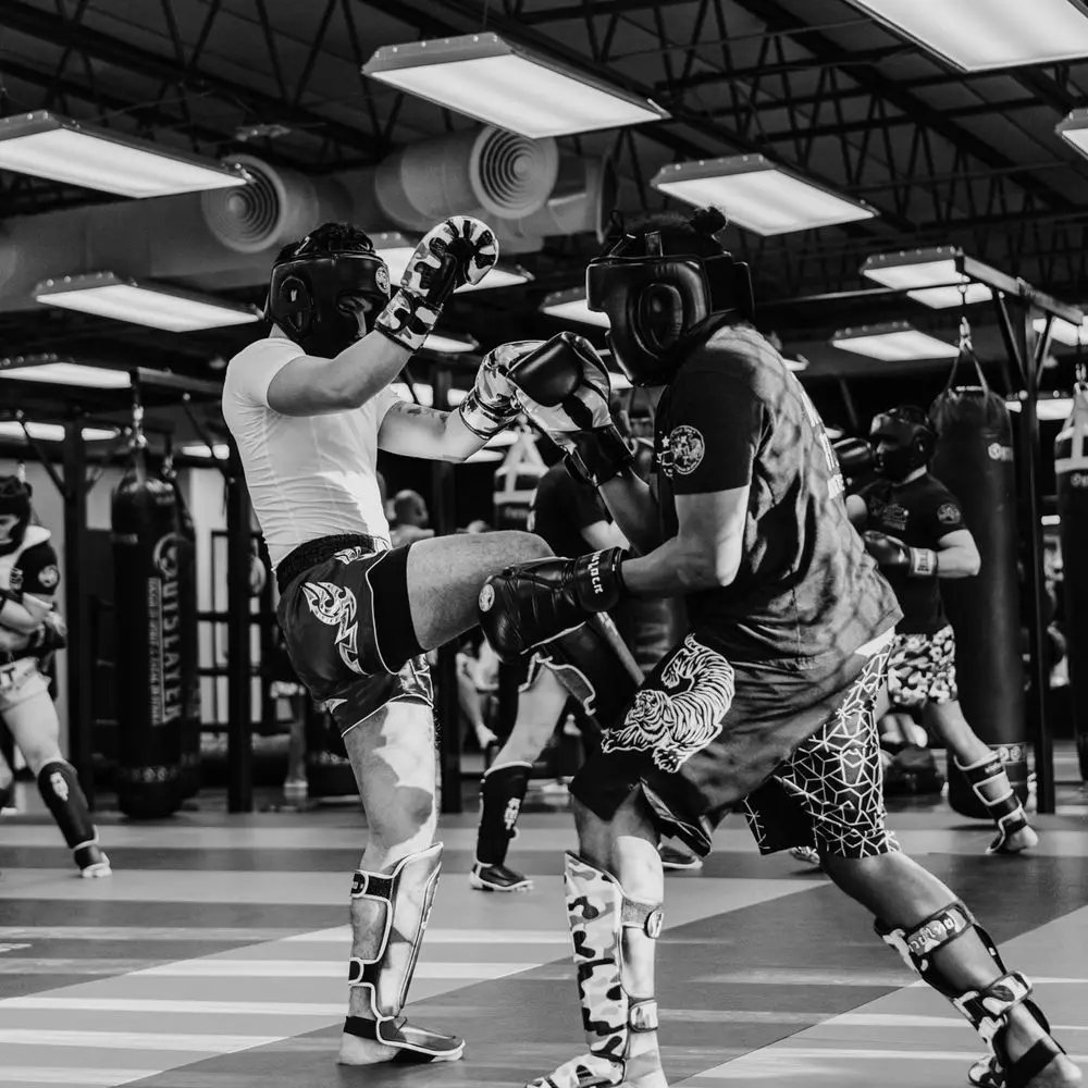 Best MMA Gyms in Aurora CO