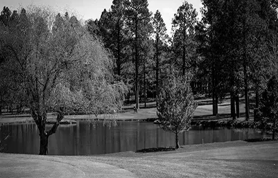 Best Pinetop AZ Golf Courses
