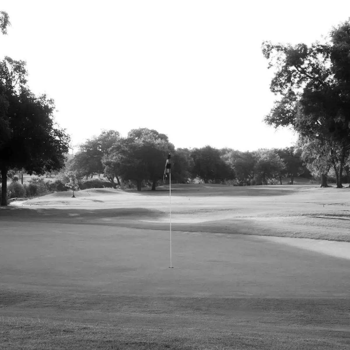 Best Richardson TX Golf Courses
