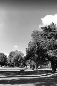Best San Jose CA Golf Courses