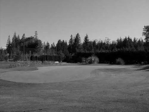 Best Snohomish WA Golf Courses