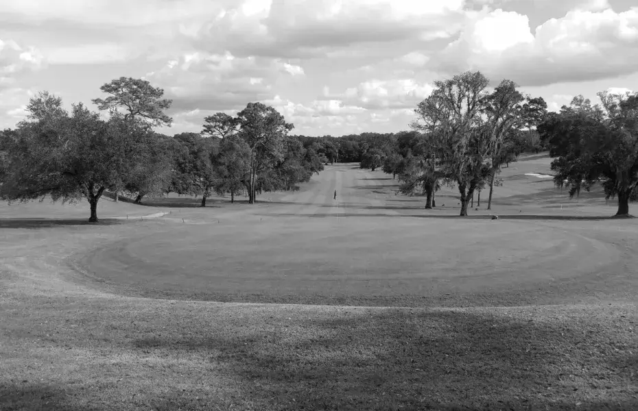 Best Tavares FL Golf Courses