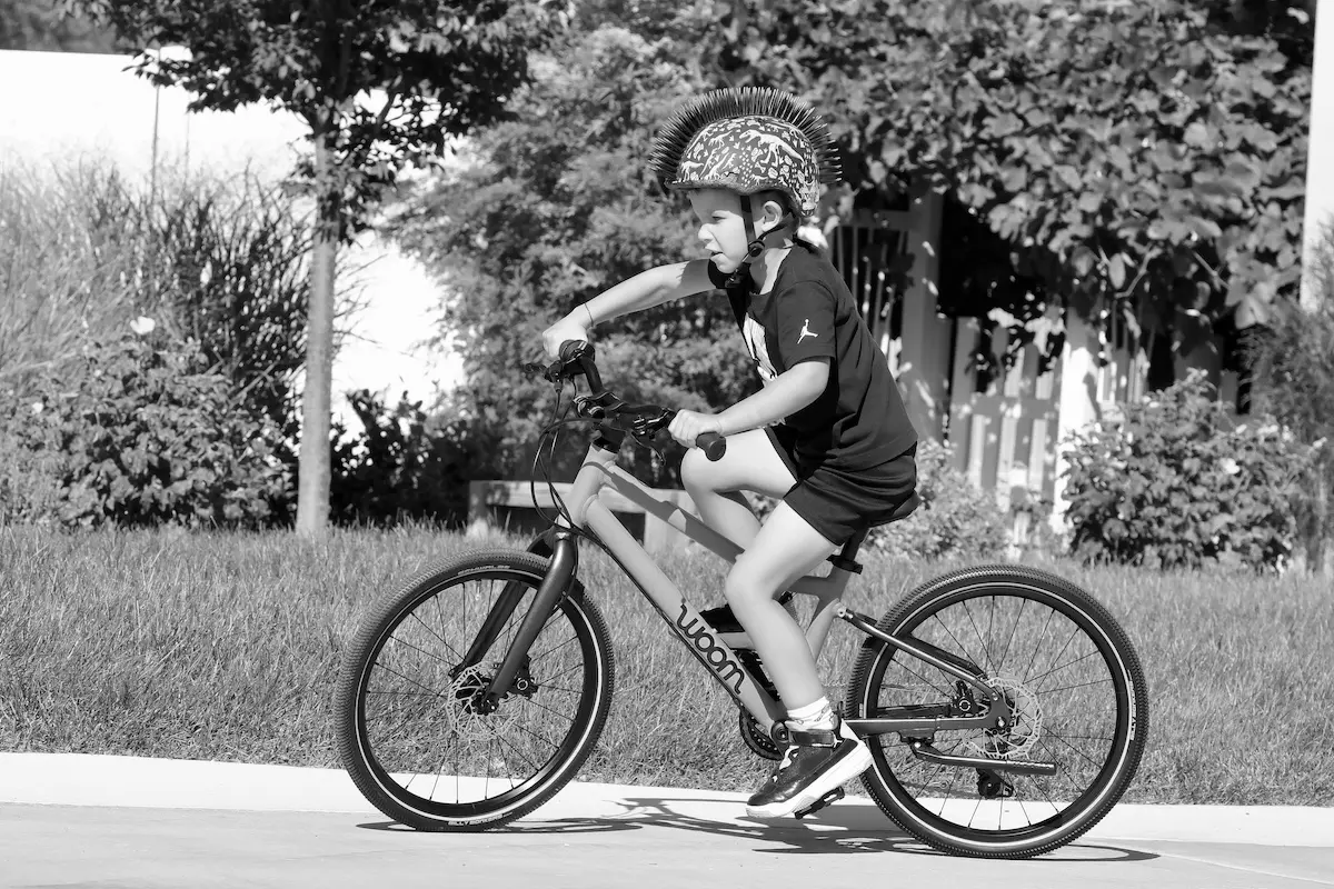 Best 20 Inch Kids Bikes