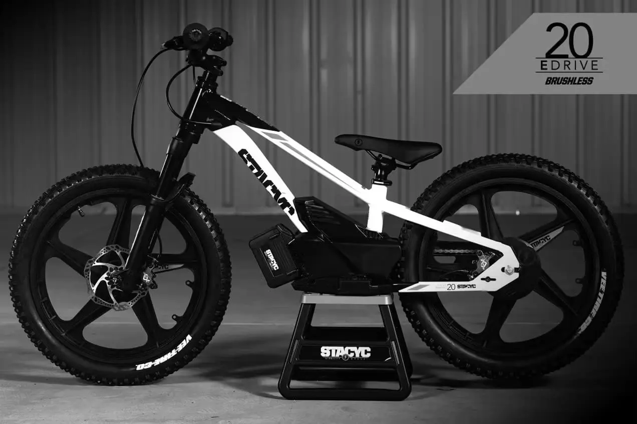 Best 20 inch Electric Bikes