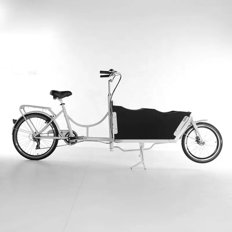 Best 20 inches Electric Cargo Bikes