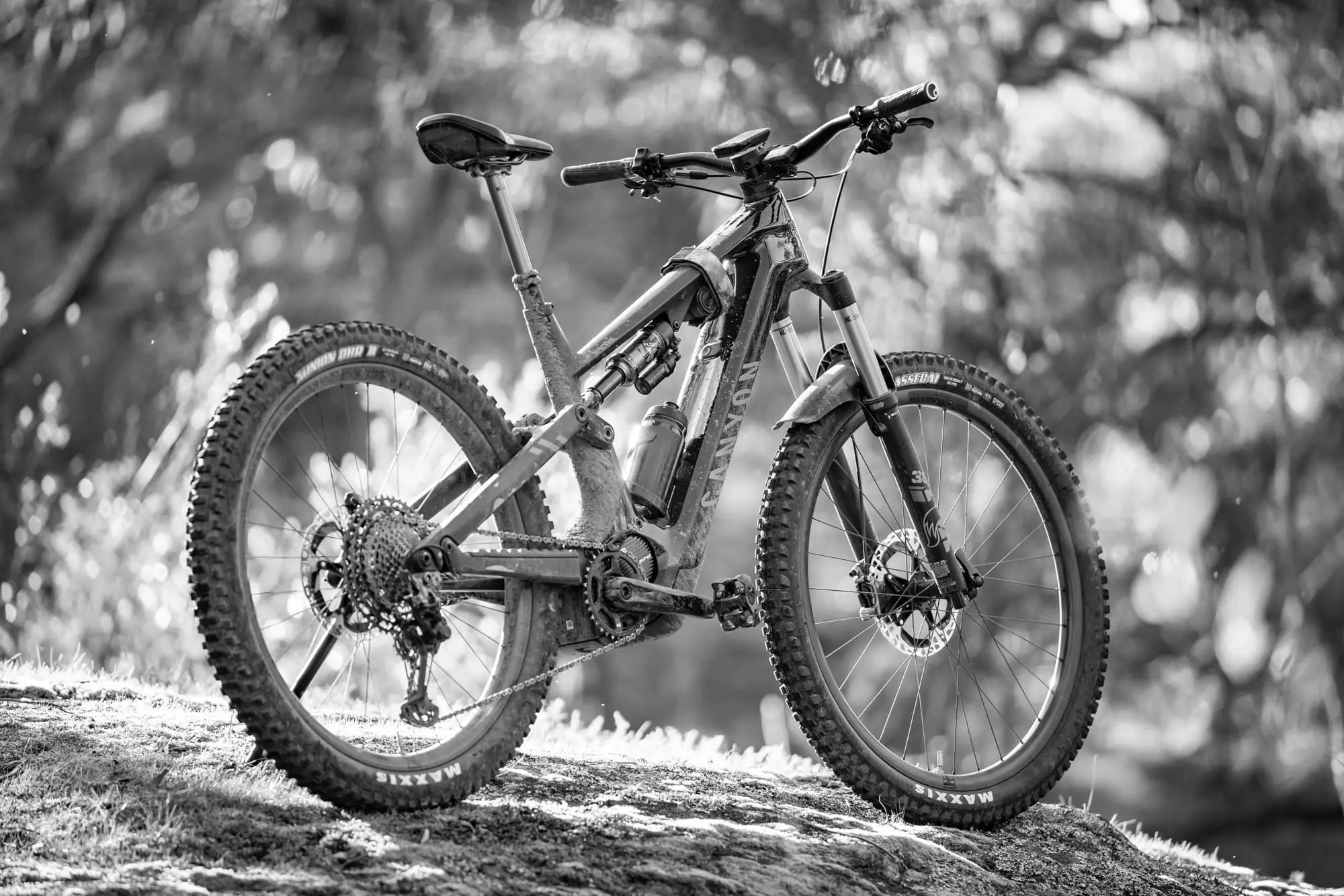 Best 29 inch Electric Bikes