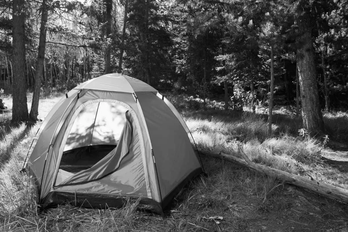Best 4 person Tents
