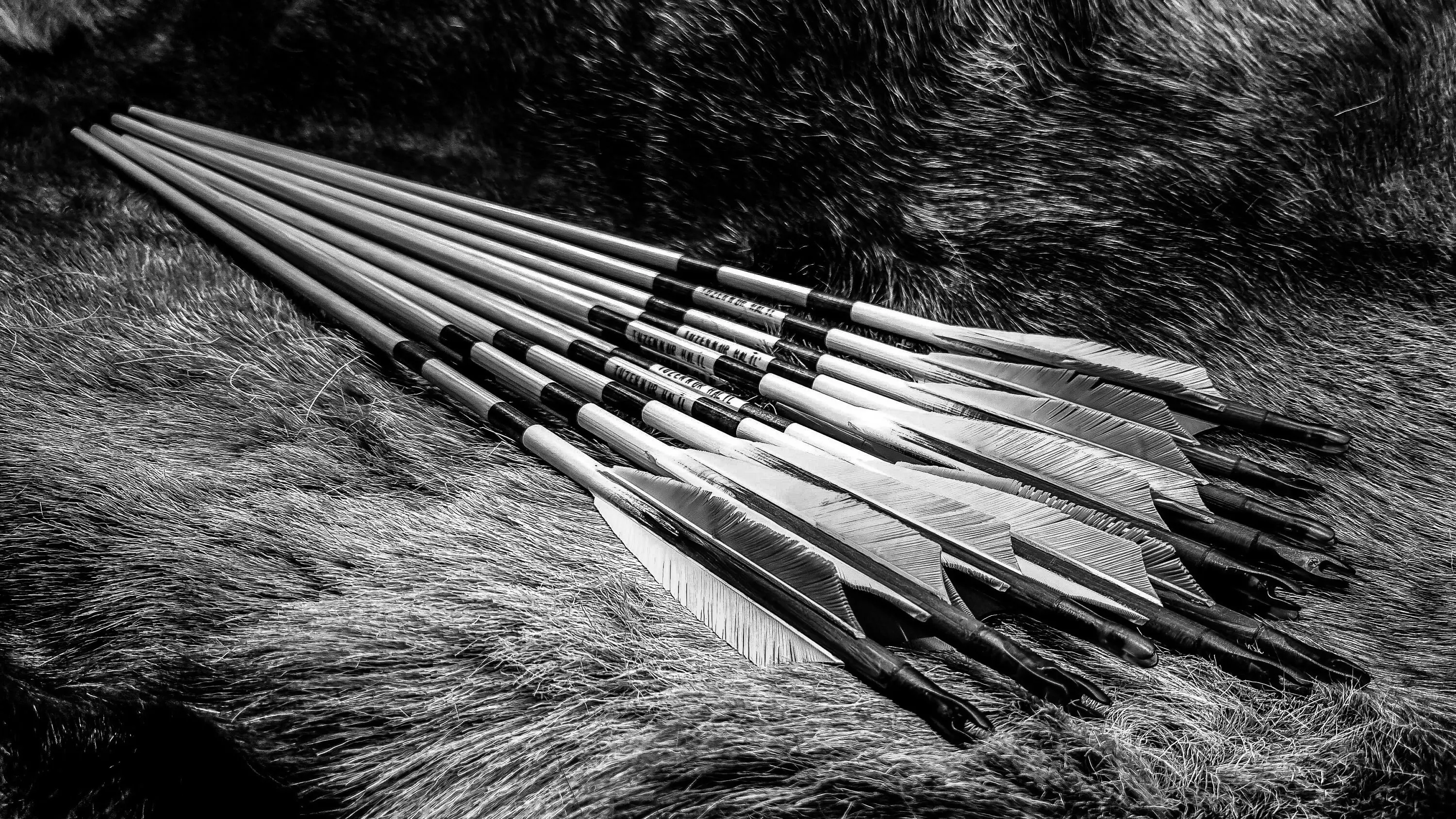 Best Archery Arrows & Shafts