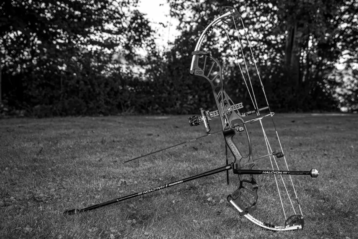 Best Archery Basic Bows