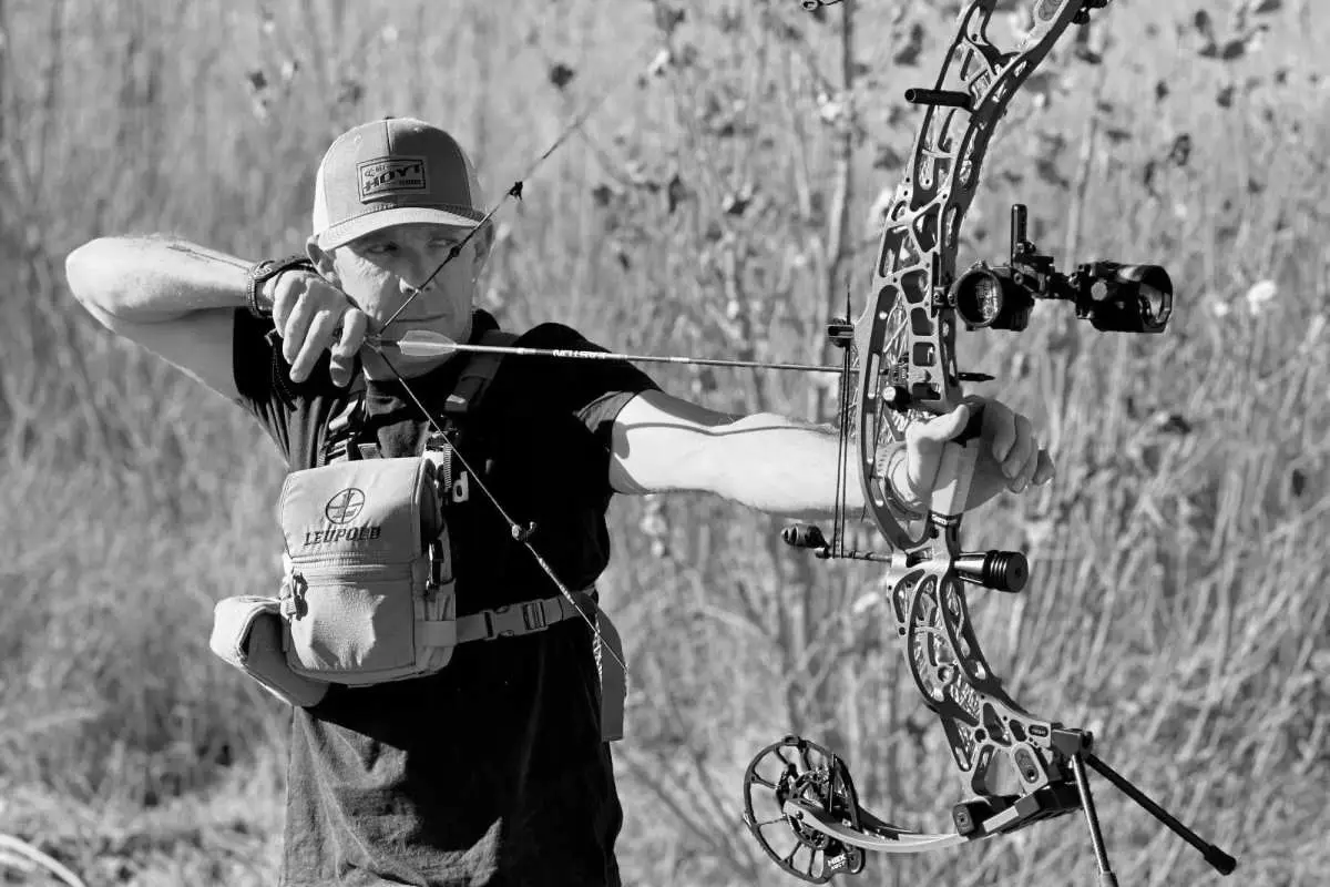 Best Archery Bows