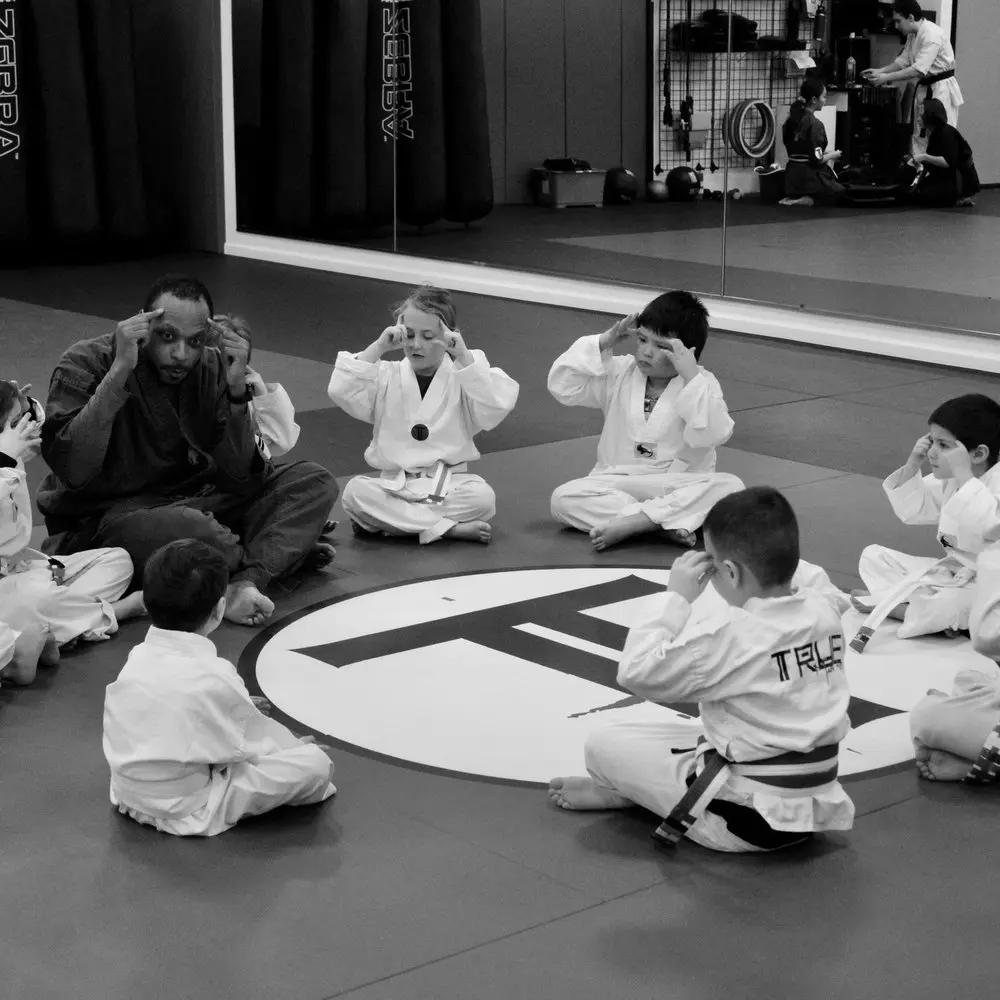 Best BJJ Gyms in Ann Arbor Michigan