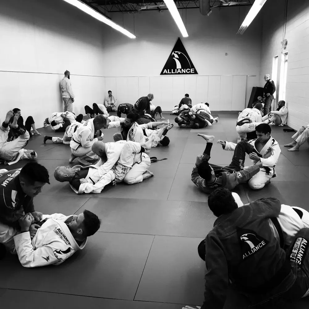 Best BJJ Gyms in Edina Minnesota