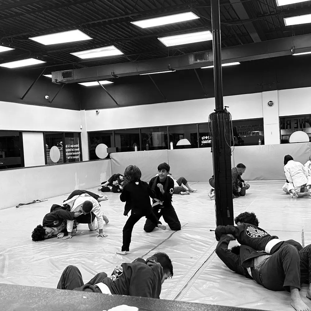 Best BJJ Gyms in Hollywood Florida