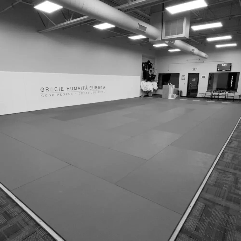 Best BJJ Gyms in Missouri