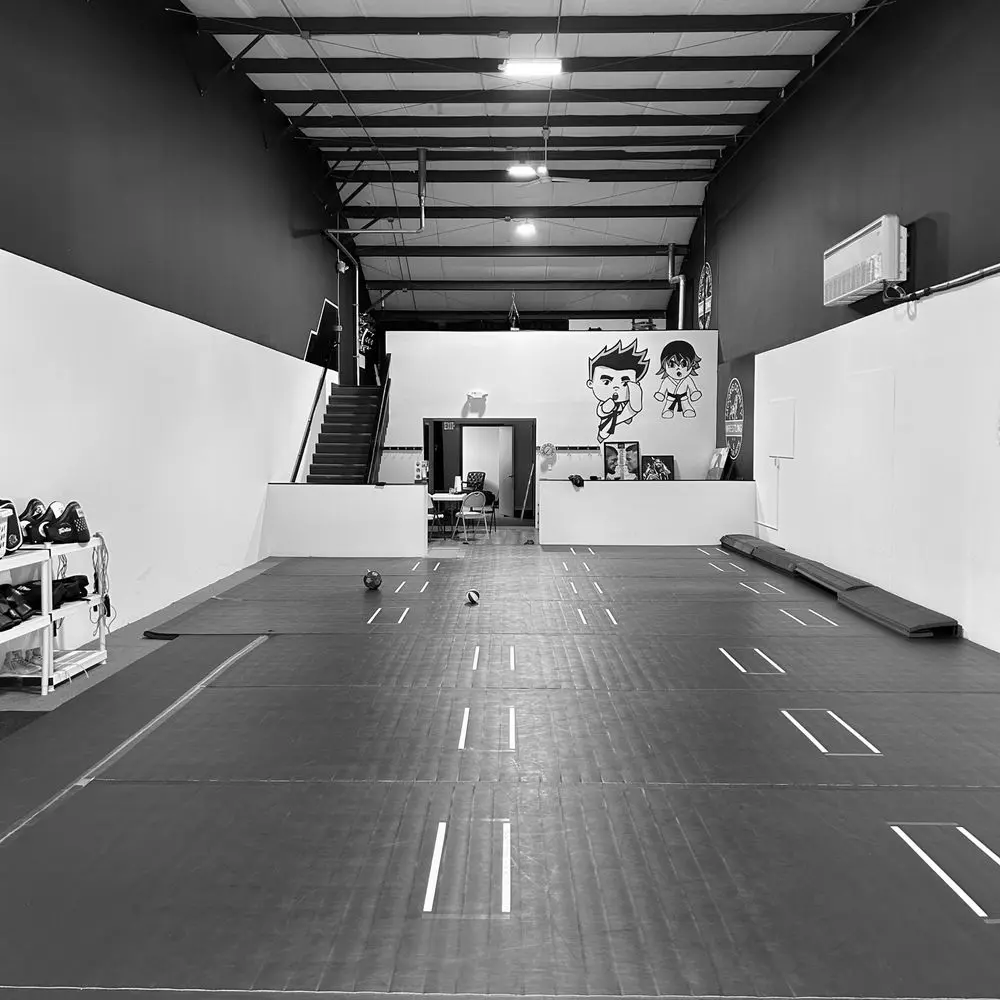 Best BJJ Gyms in New Jersey
