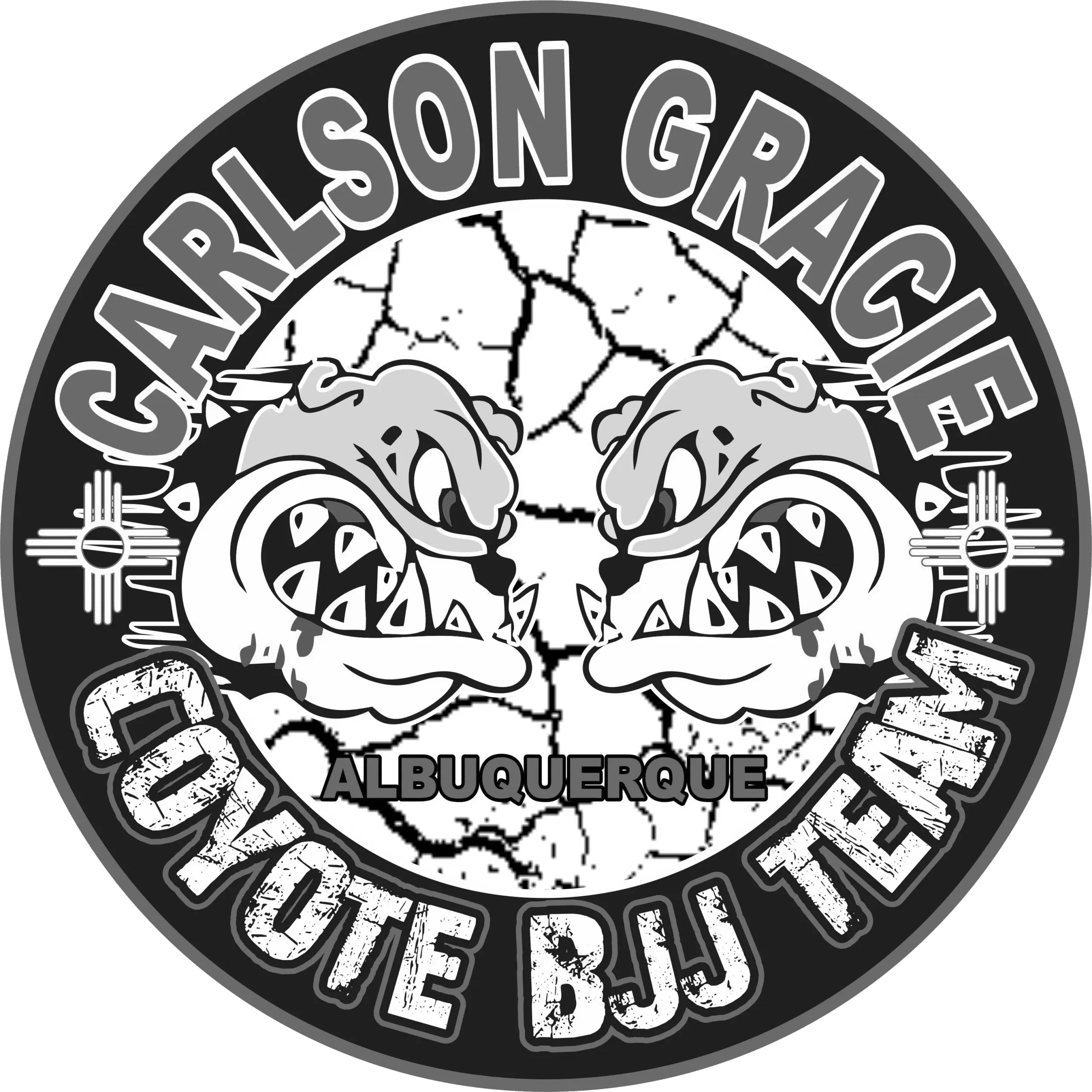Best BJJ Gyms in New Mexico