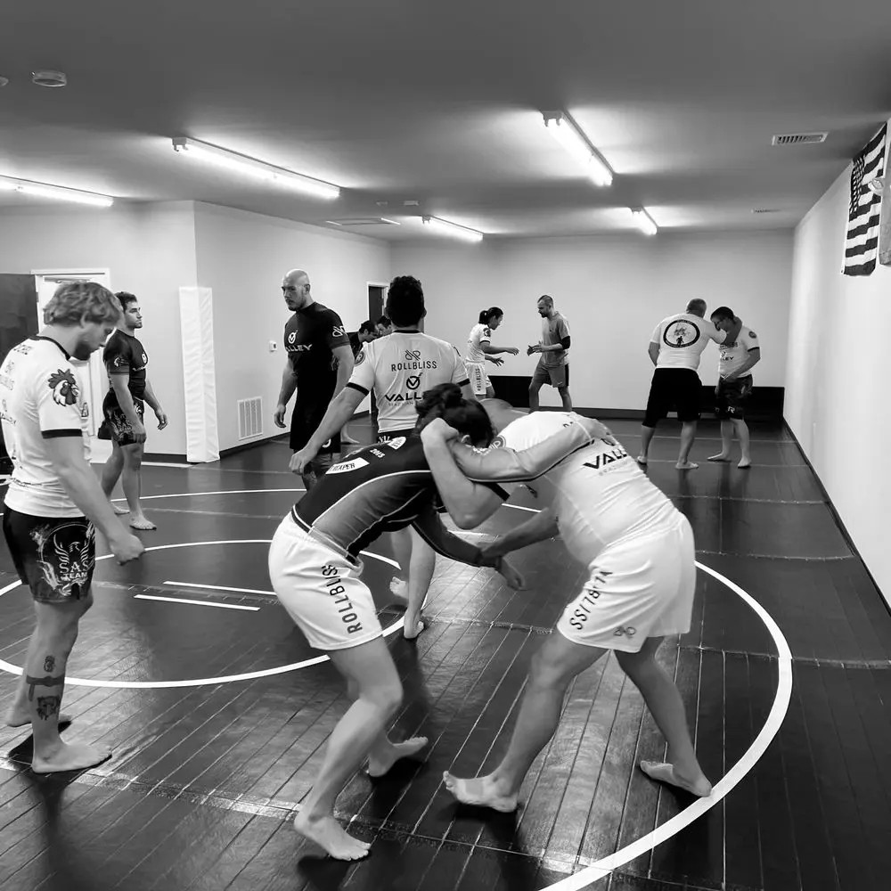 Best BJJ Gyms in Reading, Pennsylvania