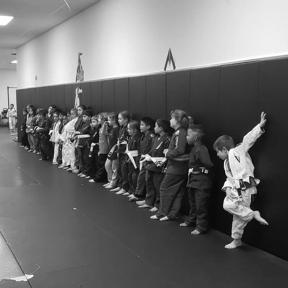 Best BJJ Gyms in Wayne, New Jersey
