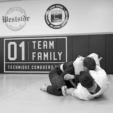 Best BJJ Gyms in Westland, Michigan