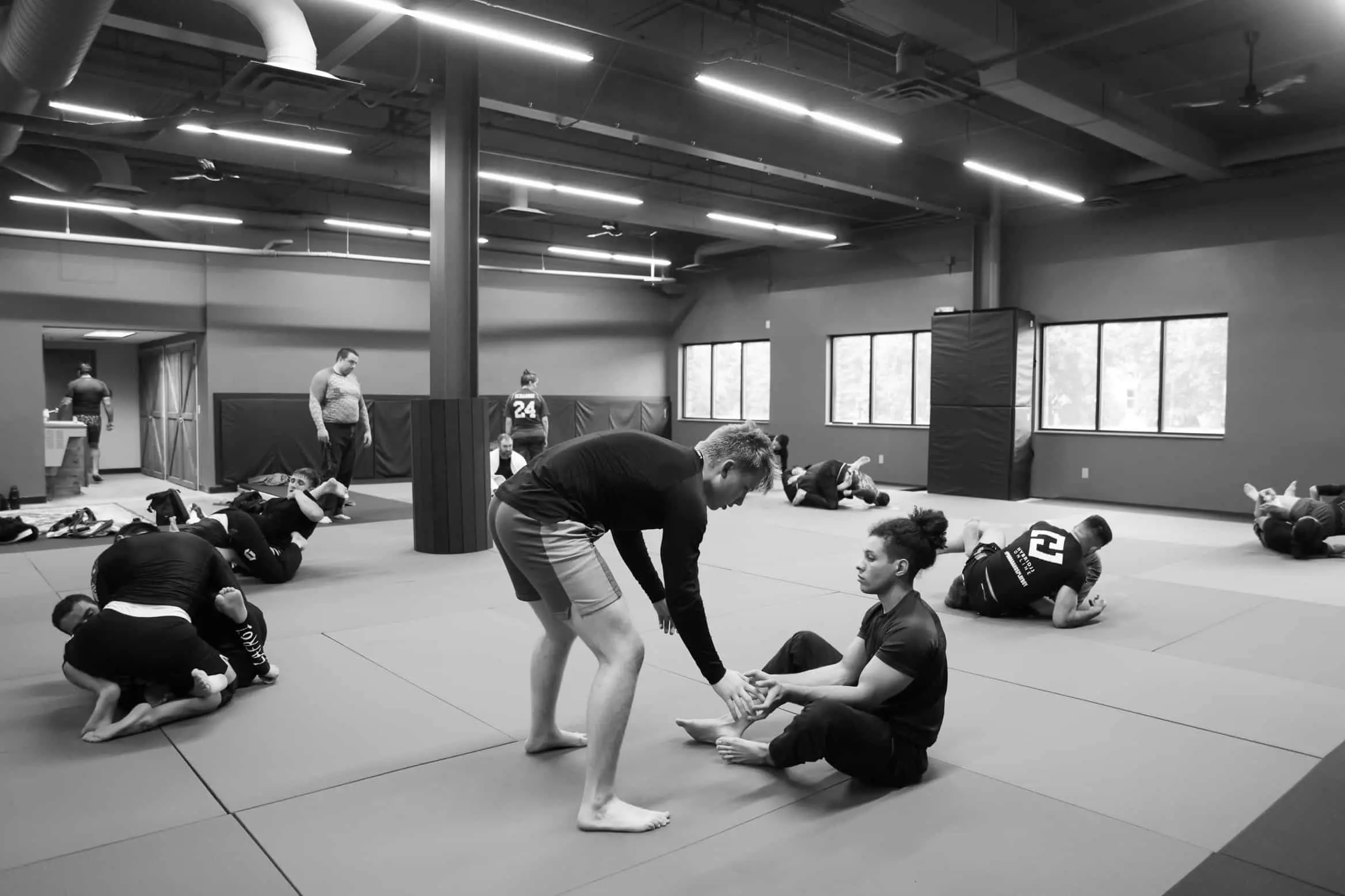 Best BJJ Gyms in Woodbury, Minnesota
