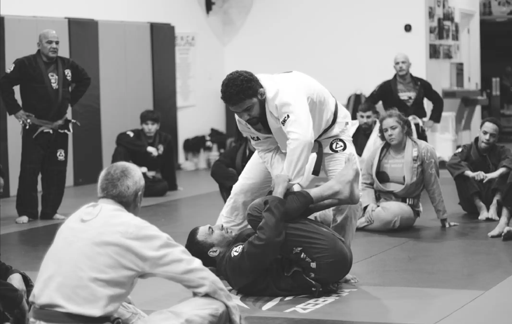 Best BJJ Gyms in Worcester, Massachusetts