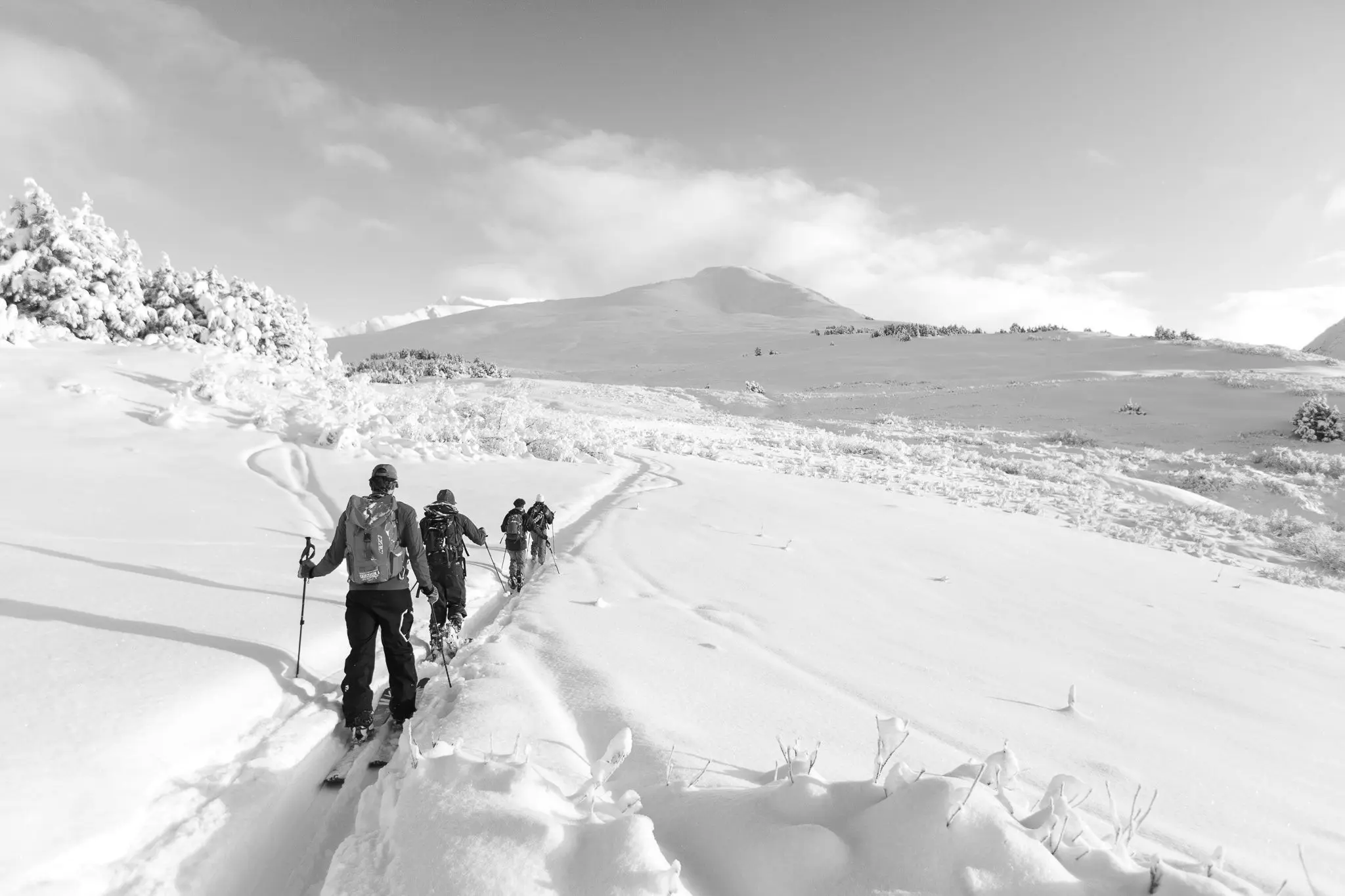 Best Backcountry Ski Boots