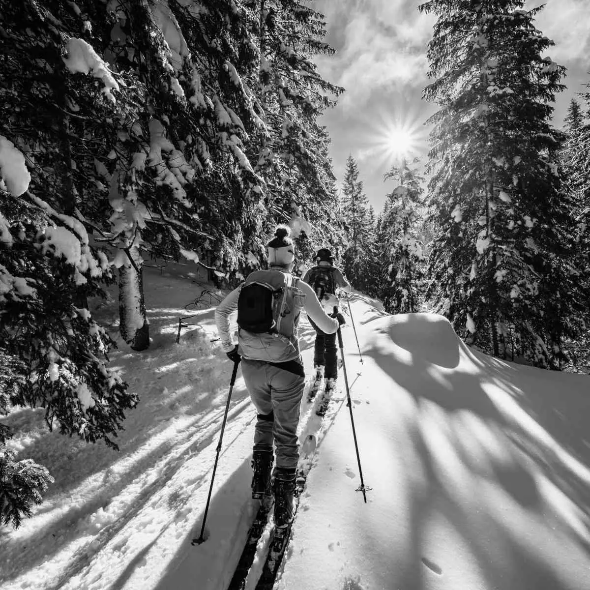 Best Backcountry Skiing