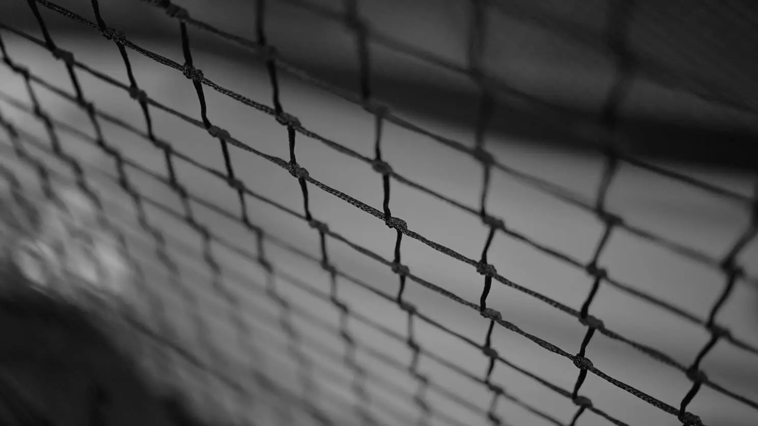 Best Badminton Nets