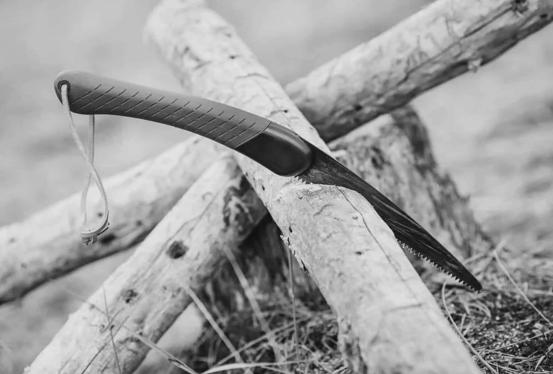 Best Camp Saws