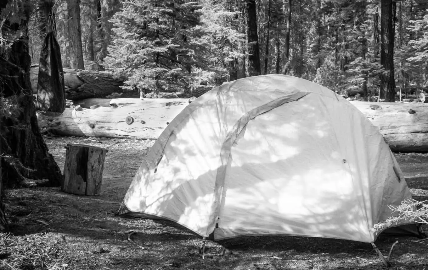 Best Camping Bear Protection Products