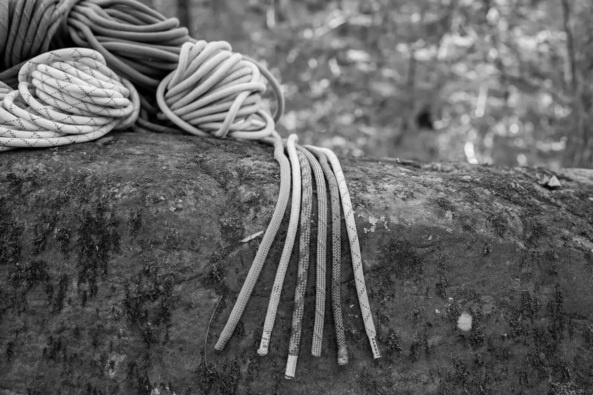 Best Climbing Ropes