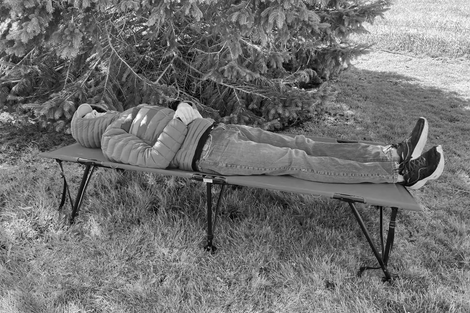 Best Cots