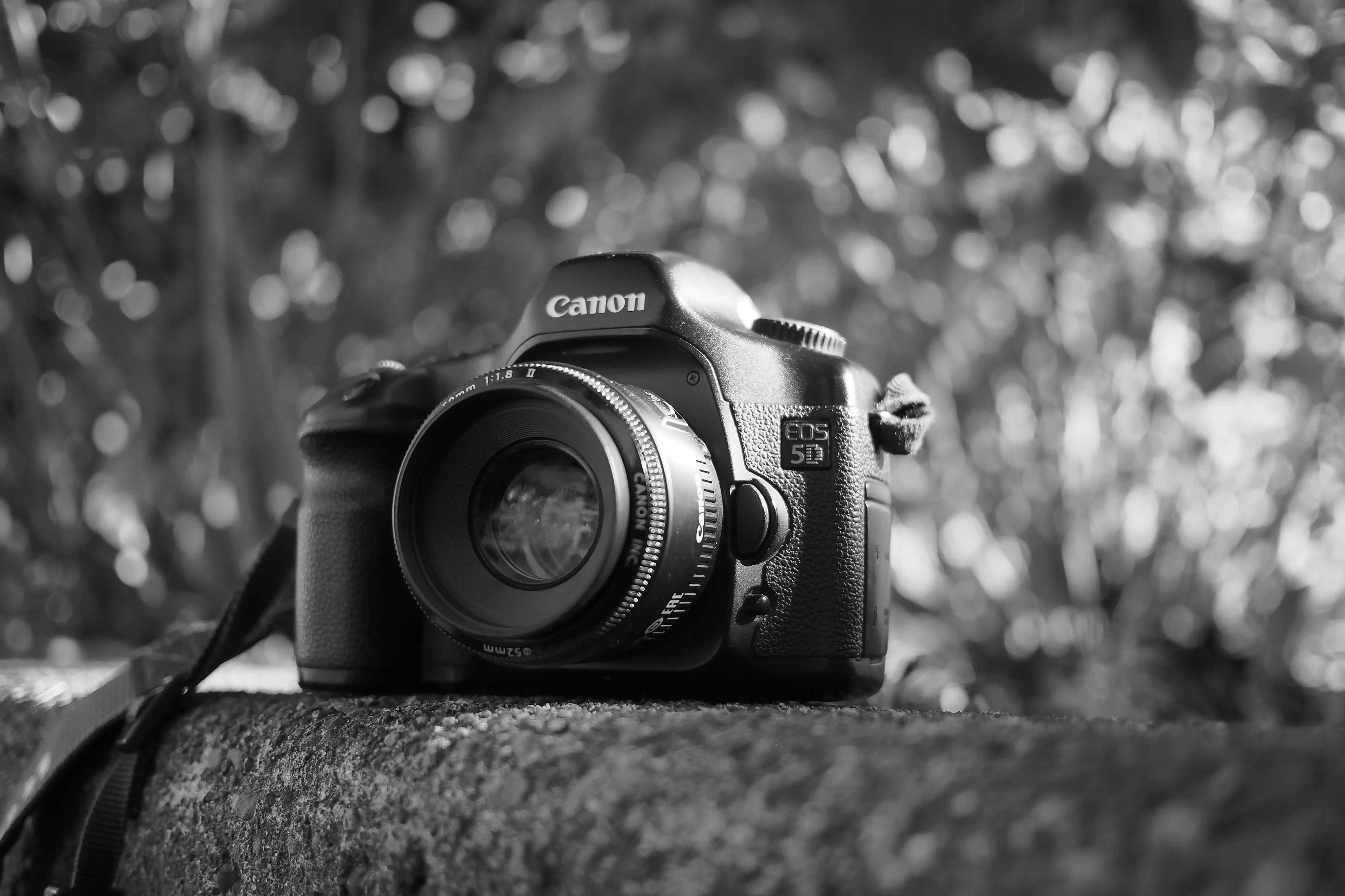 Best DSLR Photography