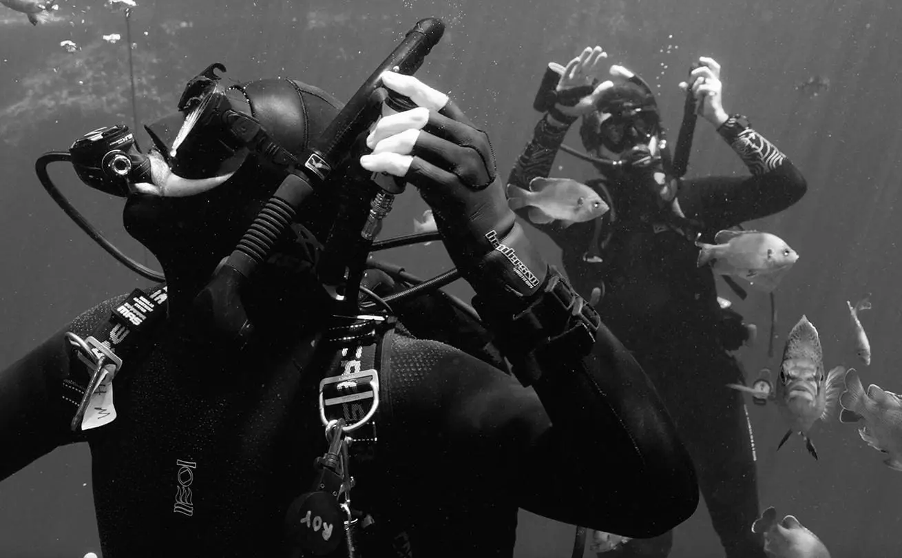 Best Diving Buoyancy Compensators