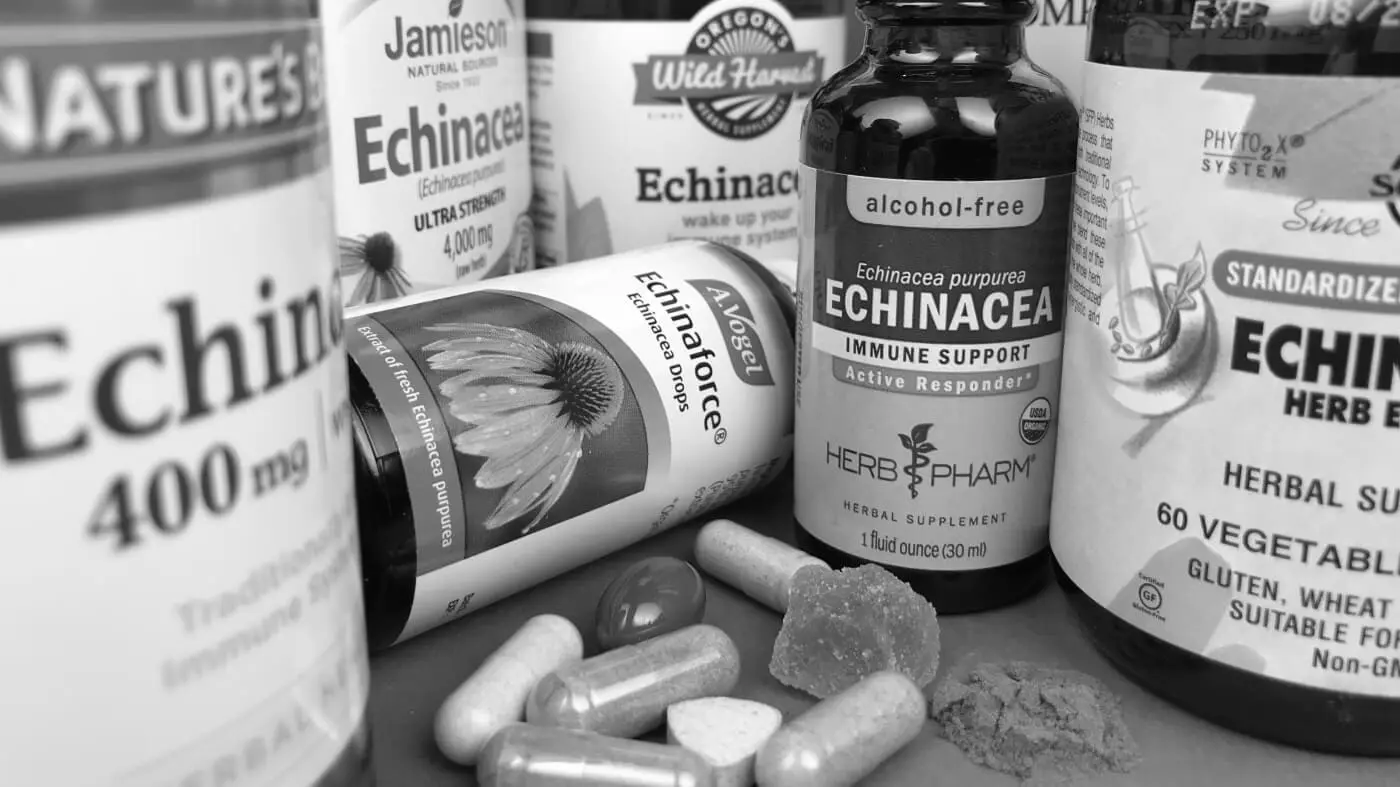 Best Echinacea Herbal Supplements