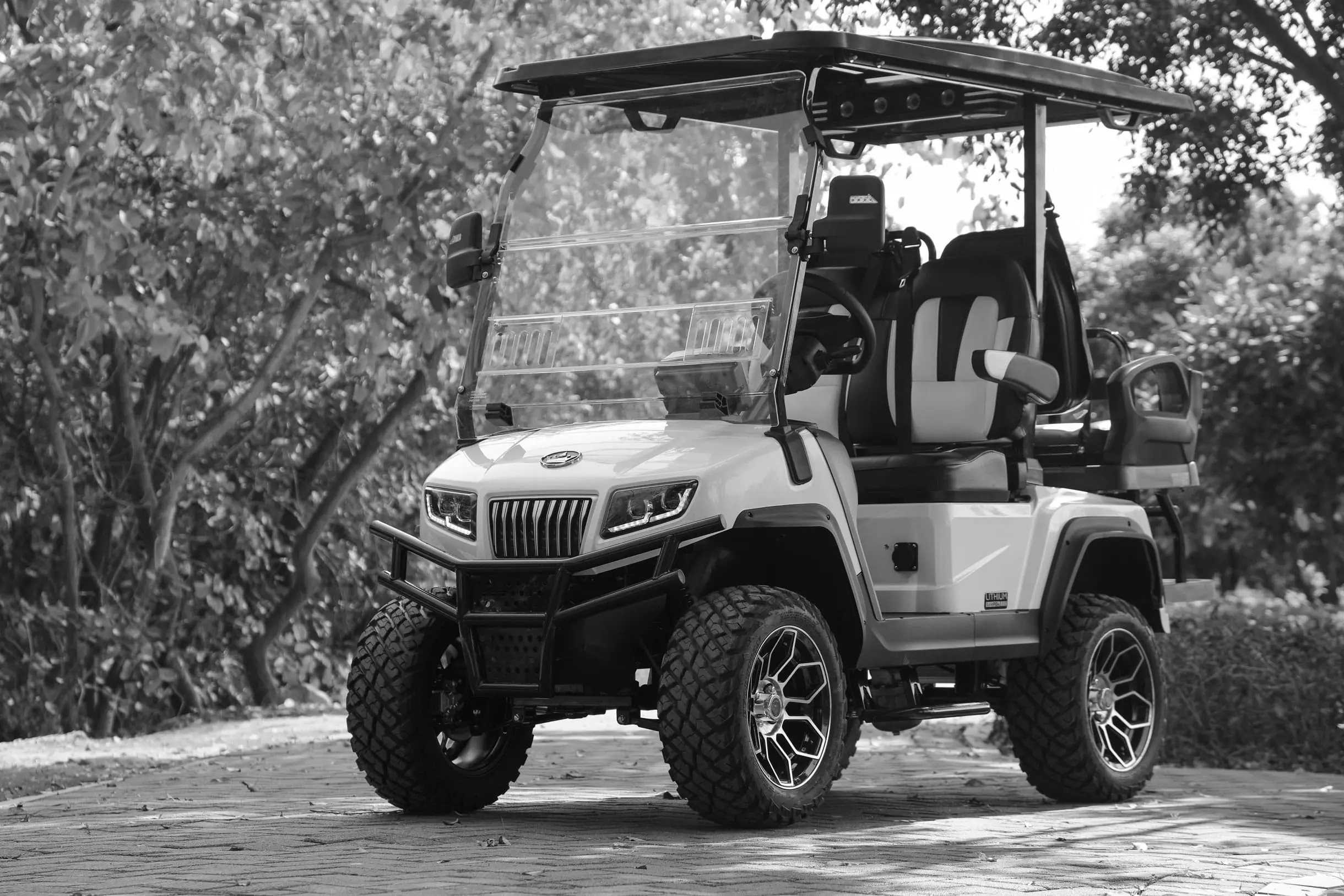Best Electric Golf Carts