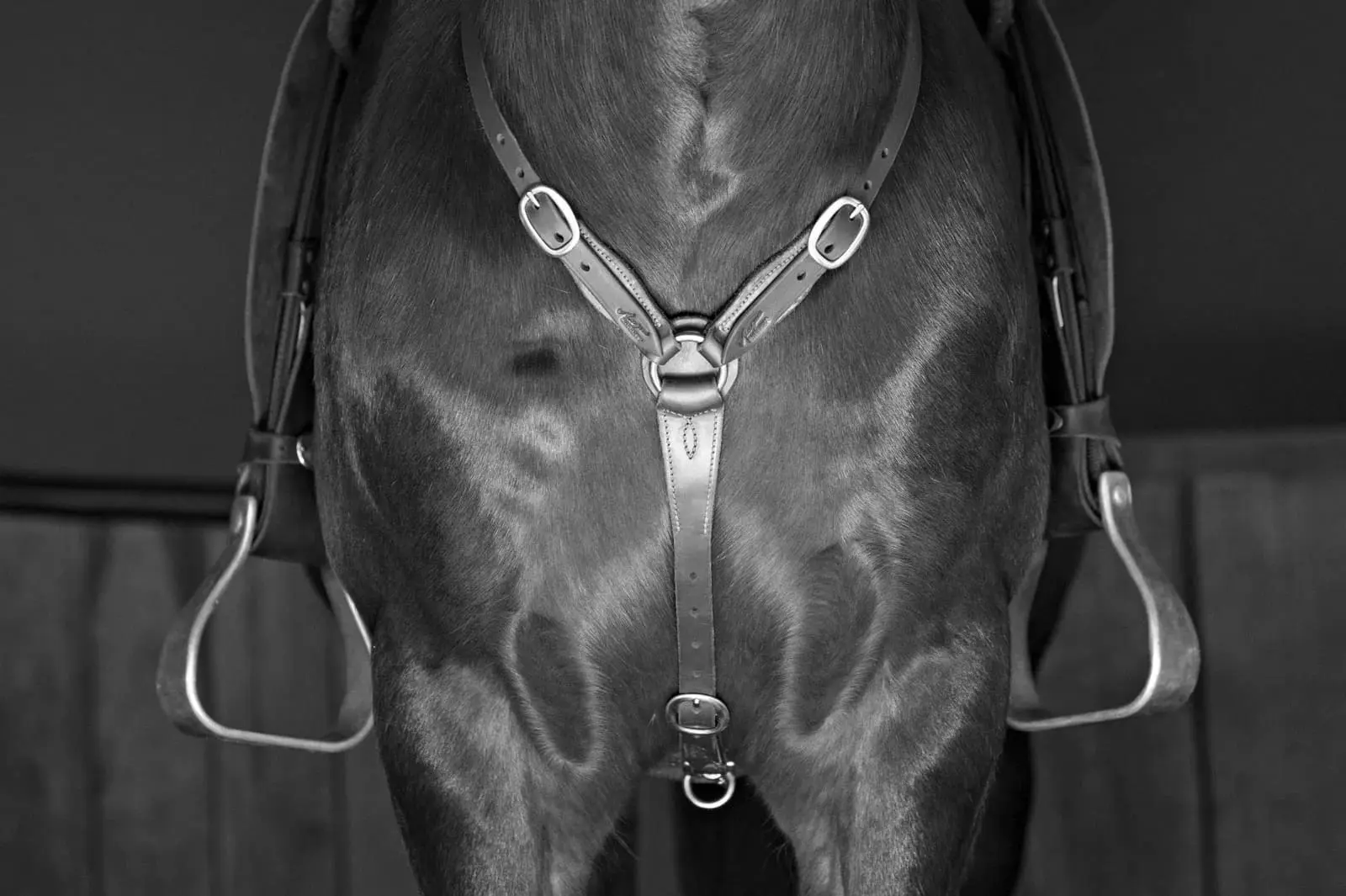 Best Equestrian Breastplates, Breast Collars & Martingales