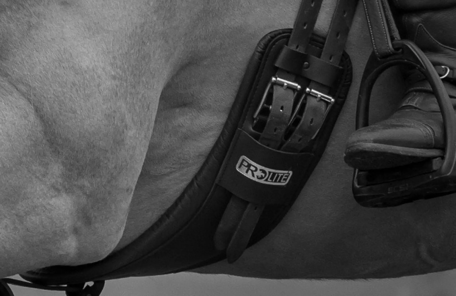 Best Equestrian Girths