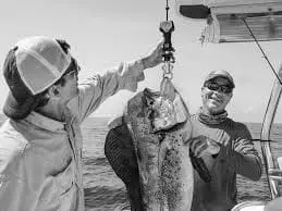 Best Fish Weighing Scales